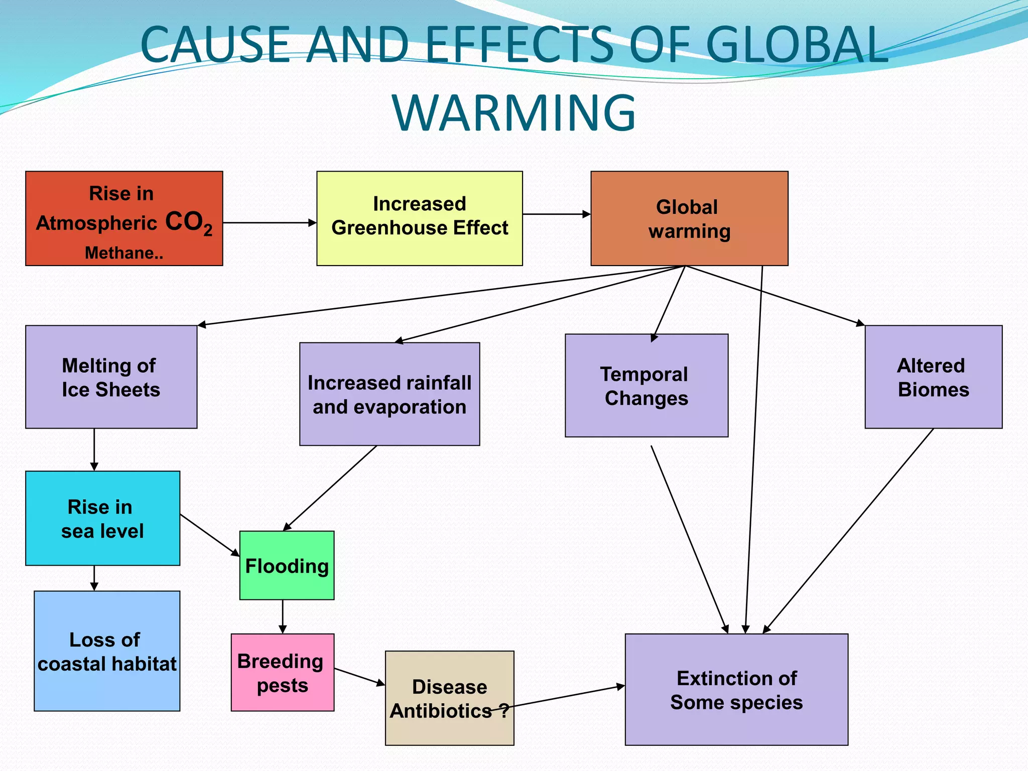 CAUSE AND EFFECTS OF GLOBAL
WARMING
Rise in
Atmospheric CO2
Methane..
Increased
Greenhouse Effect
Melting of
Ice Sheets
Altered
Biomes
Temporal
Changes
Rise in
sea level
Loss of
coastal habitat
Extinction of
Some species
Global
warming
Increased rainfall
and evaporation
Flooding
Breeding
pests Disease
Antibiotics ?
 