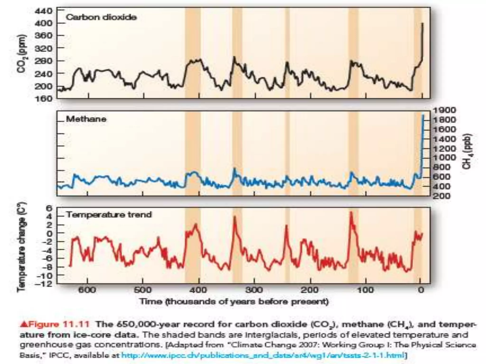 How Environment has changed our world.