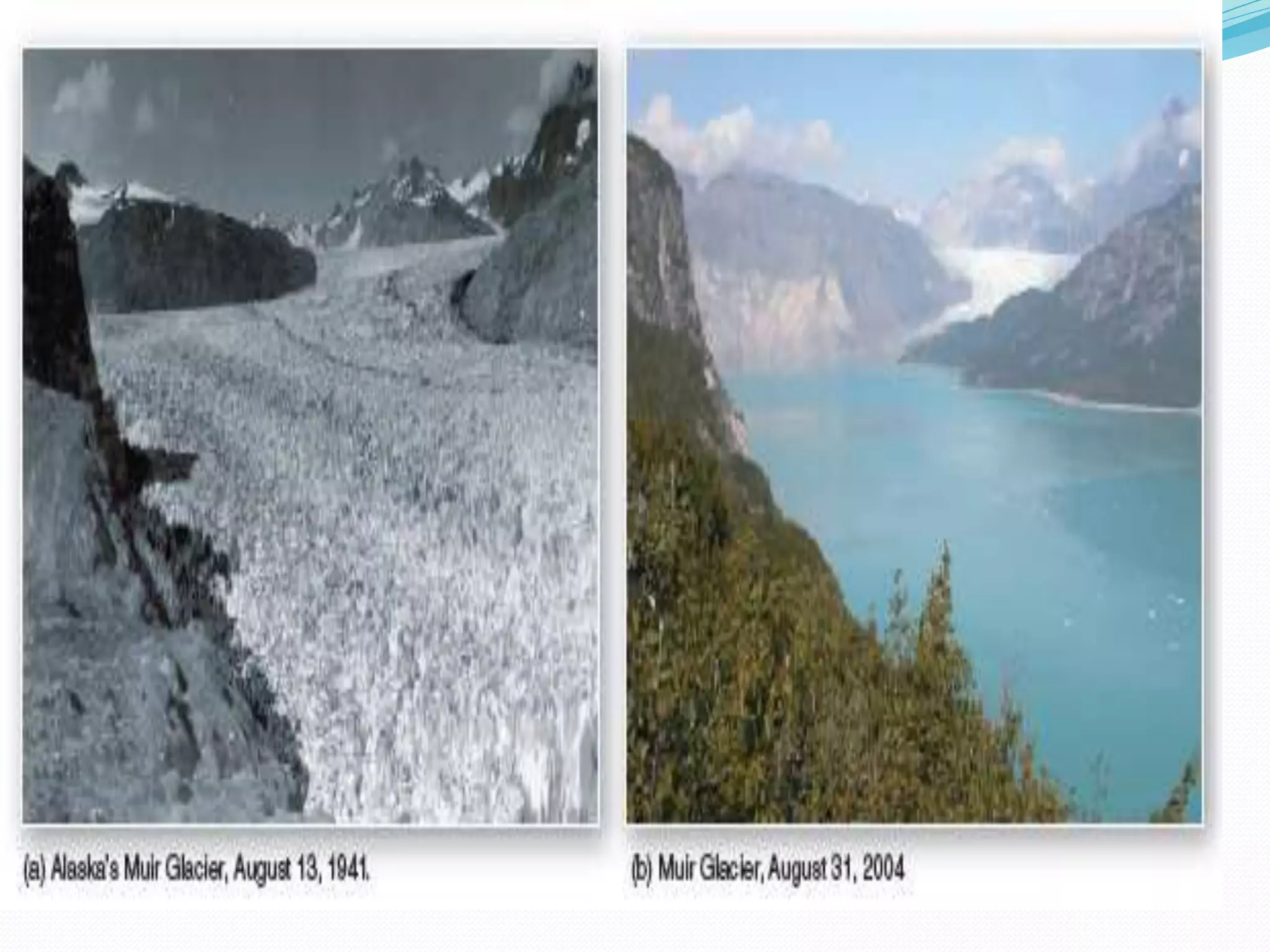 How Environment has changed our world.