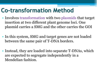 • Involves transformation with two plasmids that target
insertion at two different plant genome loci. One
plasmid carries a SMG and the other carries the GOI
• In this system, SMG and target genes are not loaded
between the same pair of T-DNA borders.
• Instead, they are loaded into separate T-DNAs, which
are expected to segregate independently in a
Mendelian fashion.
Co-transformation Method
 