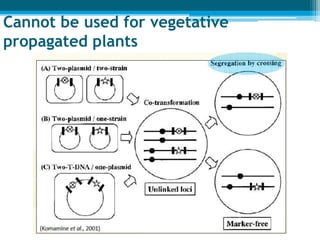 Cannot be used for vegetative
propagated plants
 