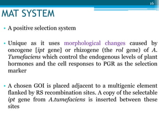 • A positive selection system
• Unique as it uses morphological changes caused by
oncogene [ipt gene] or rhizogene (the rol gene) of A.
Tumefaciens which control the endogenous levels of plant
hormones and the cell responses to PGR as the selection
marker
• A chosen GOI is placed adjacent to a multigenic element
flanked by RS recombination sites. A copy of the selectable
ipt gene from A.tumefaciens is inserted between these
sites
16
MAT SYSTEM
 