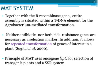 • Together with the R recombinase gene , entire
assembly is situated within a T-DNA element for the
Agrobacterium-mediated transformation.
• Neither antibiotic- nor herbicide-resistance genes are
necessary as a selection marker. In addition, it allows
for repeated transformation of genes of interest in a
plant (Sugita et al. 2000).
• Principle of MAT uses oncogene (ipt) for selection of
transgenic plants and a SSR system
17
MAT SYSTEM
 