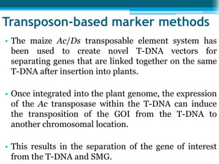 • The maize Ac/Ds transposable element system has
been used to create novel T-DNA vectors for
separating genes that are linked together on the same
T-DNA after insertion into plants.
• Once integrated into the plant genome, the expression
of the Ac transposase within the T-DNA can induce
the transposition of the GOI from the T-DNA to
another chromosomal location.
• This results in the separation of the gene of interest
from the T-DNA and SMG.
Transposon‐based marker methods
 