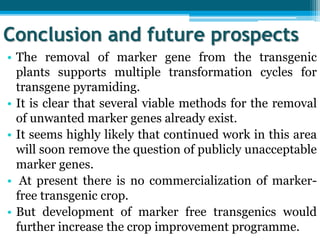 Conclusion and future prospects
• The removal of marker gene from the transgenic
plants supports multiple transformation cycles for
transgene pyramiding.
• It is clear that several viable methods for the removal
of unwanted marker genes already exist.
• It seems highly likely that continued work in this area
will soon remove the question of publicly unacceptable
marker genes.
• At present there is no commercialization of marker-
free transgenic crop.
• But development of marker free transgenics would
further increase the crop improvement programme.
 