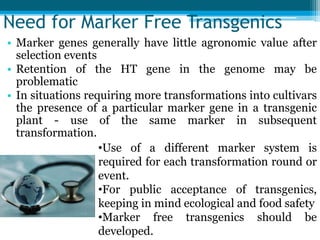 Need for Marker Free Transgenics
• Marker genes generally have little agronomic value after
selection events
• Retention of the HT gene in the genome may be
problematic
• In situations requiring more transformations into cultivars
the presence of a particular marker gene in a transgenic
plant - use of the same marker in subsequent
transformation.
•Use of a different marker system is
required for each transformation round or
event.
•For public acceptance of transgenics,
keeping in mind ecological and food safety
•Marker free transgenics should be
developed.
 