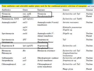 6/8/2015Dept. of PMBB
 