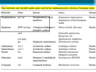 6/8/2015Dept. of PMBB
 