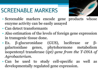 SCREENABLE MARKERS
• Screenable markers encode gene products whose
enzyme activity can be easily assayed
• Can detect transformants
• Also estimation of the levels of foreign gene expression
in transgenic tissue done.
• Ex. β-glucuronidase (GUS), luciferase or β-
galactosidase genes, phytohormone metabolism
isopentenyl transferase (ipt) gene from the T-DNA of
Agrobacterium.
• Can be used to study cell-specific as well as
developmentally regulated gene expression.
 