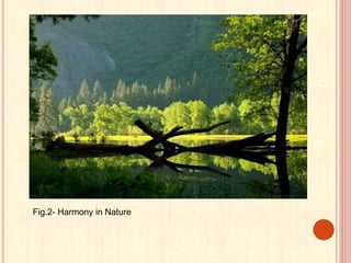 Fig.2- Harmony in Nature
 