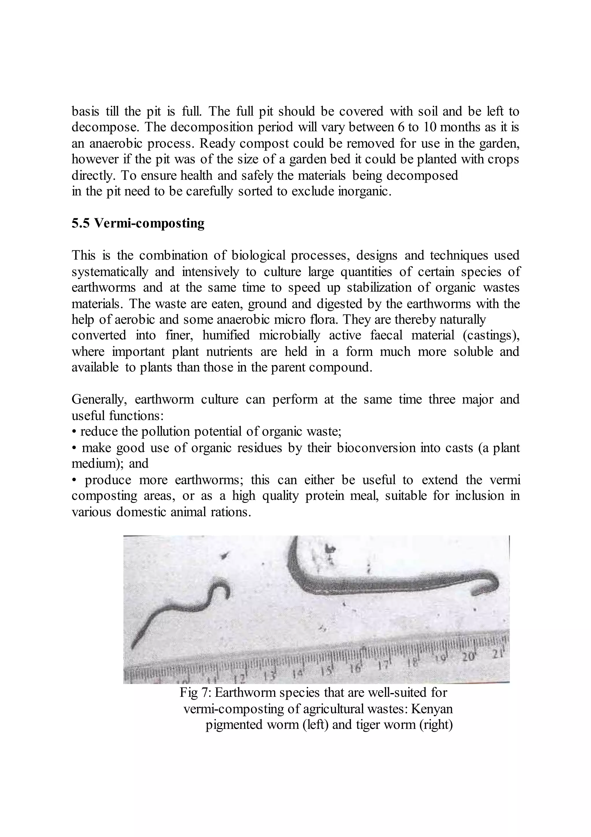 basis till the pit is full. The full pit should be covered with soil and be left to
decompose. The decomposition period will vary between 6 to 10 months as it is
an anaerobic process. Ready compost could be removed for use in the garden,
however if the pit was of the size of a garden bed it could be planted with crops
directly. To ensure health and safely the materials being decomposed
in the pit need to be carefully sorted to exclude inorganic.
5.5 Vermi-composting
This is the combination of biological processes, designs and techniques used
systematically and intensively to culture large quantities of certain species of
earthworms and at the same time to speed up stabilization of organic wastes
materials. The waste are eaten, ground and digested by the earthworms with the
help of aerobic and some anaerobic micro flora. They are thereby naturally
converted into finer, humified microbially active faecal material (castings),
where important plant nutrients are held in a form much more soluble and
available to plants than those in the parent compound.
Generally, earthworm culture can perform at the same time three major and
useful functions:
• reduce the pollution potential of organic waste;
• make good use of organic residues by their bioconversion into casts (a plant
medium); and
• produce more earthworms; this can either be useful to extend the vermi
composting areas, or as a high quality protein meal, suitable for inclusion in
various domestic animal rations.
Fig 7: Earthworm species that are well-suited for
vermi-composting of agricultural wastes: Kenyan
pigmented worm (left) and tiger worm (right)
 