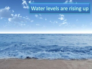 Water levels are rising up
 