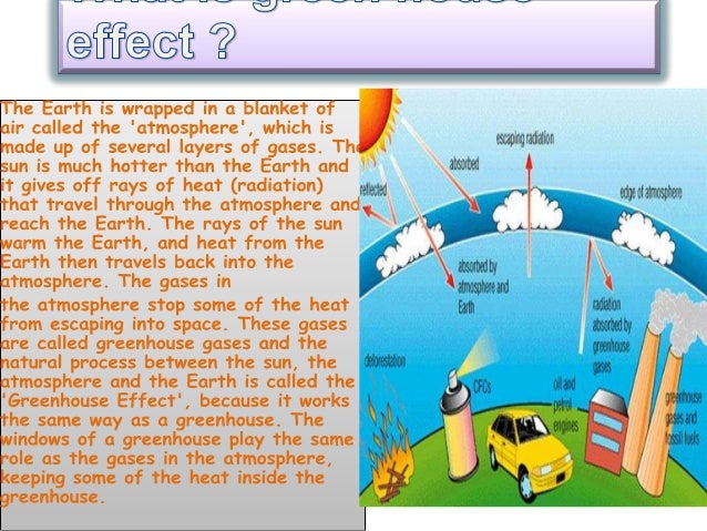 how to protect our earth essay