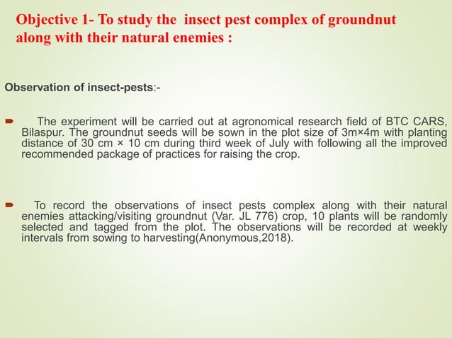“Studies on major insect-pest of Groundnut | PPT