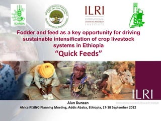 Fodder and feed as a key opportunity for driving
  sustainable intensification of crop livestock
              systems in Ethiopia
                       “Quick Feeds”




                               Alan Duncan
 Africa RISING Planning Meeting, Addis Ababa, Ethiopia, 17-18 September 2012
 