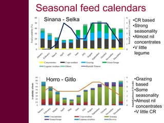 Quick feeds: Fodder and feed as a key opportunity for driving sustainable intensification of crop livestock systems in Ethiopia