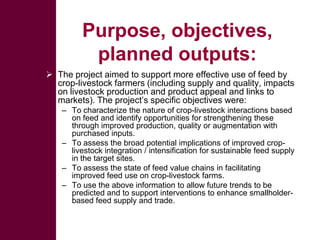 Quick feeds: Fodder and feed as a key opportunity for driving sustainable intensification of crop livestock systems in Ethiopia