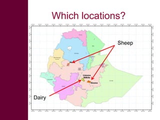 Quick feeds: Fodder and feed as a key opportunity for driving sustainable intensification of crop livestock systems in Ethiopia