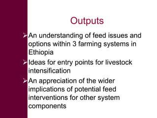 Quick feeds: Fodder and feed as a key opportunity for driving sustainable intensification of crop livestock systems in Ethiopia