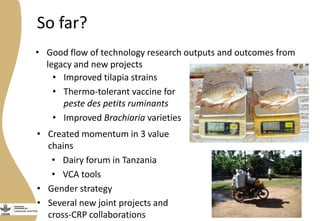 More meat, milk and fish by and for the poor: Improving access to critical animal-source foods