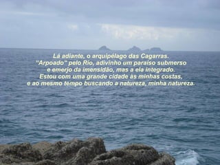 Lá adiante, o arquipélago das Cagarras. “ Arpoado” pelo Rio, adivinho um paraíso submerso e emerjo da imensidão, mas a ela integrado. Estou com uma grande cidade às minhas costas, e ao mesmo tempo buscando a natureza, minha natureza. 