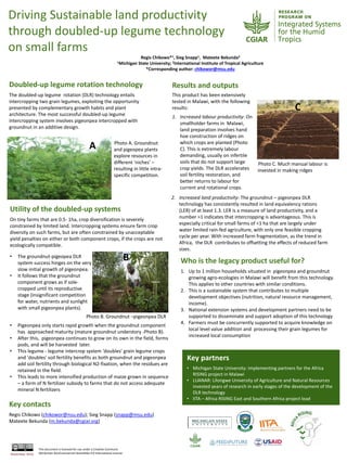 Driving Sustainable land productivity
through doubled-up legume technology
on small farms
Utility of the doubled-up systems
On tiny farms that are 0.5- 1ha, crop diversification is severely
constrained by limited land. Intercropping systems ensure farm crop
diversity on such farms, but are often constrained by unacceptable
yield penalties on either or both component crops, if the crops are not
ecologically compatible.
Doubled-up legume rotation technology
The doubled-up legume rotation (DLR) technology entails
intercropping two grain legumes, exploiting the opportunity
presented by complementary growth habits and plant
architecture. The most successful doubled-up legume
intercropping system involves pigeonpea intercropped with
groundnut in an additive design.
Pictures
Key partners
• Michigan State University: implementing partners for the Africa
RISING project in Malawi
• LUANAR: Lilongwe University of Agriculture and Natural Resources
invested years of research in early stages of the development of the
DLR technology
• IITA – Africa RISING East and Southern Africa project lead
This document is licensed for use under a Creative Commons
Attribution-NonCommercial-ShareAlike 4.0 International LicenseNovember 2016
Who is the legacy product useful for?
1. Up to 1 million households situated in pigeonpea and groundnut
growing agro-ecologies in Malawi will benefit from this technology.
This applies to other countries with similar conditions.
2. This is a sustainable system that contributes to multiple
development objectives (nutrition, natural resource management,
income).
3. National extension systems and development partners need to be
supported to disseminate and support adoption of this technology
4. Farmers must be concurrently supported to acquire knowledge on
local level value addition and processing their grain legumes for
increased local consumption
Results and outputs
Key contacts
Regis Chikowo (chikowor@nsu.edu); Sieg Snapp (snapp@msu.edu)
Mateete Bekunda (m.bekunda@cgiar.org)
Photo A. Groundnut
and pigeopea plants
explore resources in
different ‘niches’ –
resulting in little intra-
specific competition.
• The groundnut-pigeopea DLR
system success hinges on the very
slow initial growth of pigeonpea.
• It follows that the groundnut
component grows as if sole-
cropped until its reproductive
stage (insignificant competition
for water, nutrients and sunlight
with small pigeonpea plants).
• Pigeonpea only starts rapid growth when the groundnut component
has approached maturity (mature groundnut understory -Photo B).
• After this, pigeonpea continues to grow on its own in the field, forms
pods, and will be harvested later.
• This legume - legume intercrop system 'doubles' grain legume crops
and 'doubles' soil fertility benefits as both groundnut and pigeonpea
add soil fertility through biological N2-fixation, when the residues are
retained in the field.
• This leads to more intensified production of maize grown in sequence
– a form of N fertilizer subsidy to farms that do not access adequate
mineral N fertilizers
B
This product has been extensively
tested in Malawi, with the following
results:
1. Increased labour productivity: On
smallholder farms in Malawi,
land preparation involves hand
hoe construction of ridges on
which crops are planted (Photo
C). This is extremely labour
demanding, usually on infertile
soils that do not support large
crop yields. The DLR accelerates
soil fertility restoration, and
better returns to labour for
current and rotational crops.
2. Increased land productivity: The groundnut – pigeonpea DLR
technology has consistently resulted in land equivalency rations
(LER) of at least 1.3. LER is a measure of land productivity, and a
number >1 indicates that intercropping is advantageous. This is
especially critical for small farms of <1 ha that are largely under
water limited rain-fed agriculture, with only one feasible cropping
cycle per year. With increased farm fragmentation, as the trend in
Africa, the DLR contributes to offsetting the effects of reduced farm
sizes.
A
C
Regis Chikowo*1, Sieg Snapp1, Mateete Bekunda2
1Michigan State University; 2International Institute of Tropical Agriculture
*Corresponding author: chikowor@msu.edu
Photo C. Much manual labour is
invested in making ridges
Photo B. Groundnut –pigeonpea DLR
 