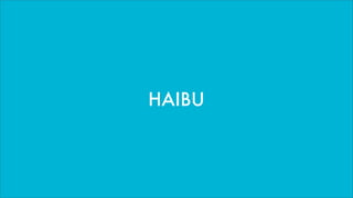 HAIBU
 
