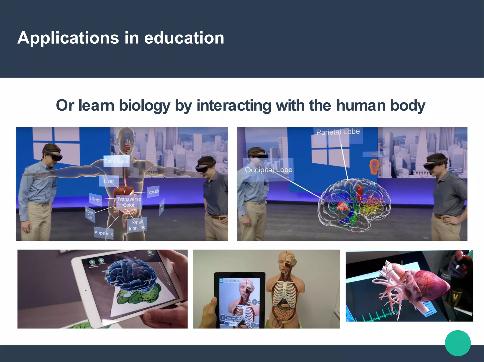 Applications in education
Or learn biology by interacting with the human body
 