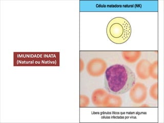 IMUNIDADE INATA
(Natural ou Nativa)
 