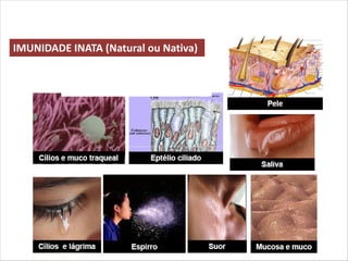 IMUNIDADE INATA (Natural ou Nativa)
 