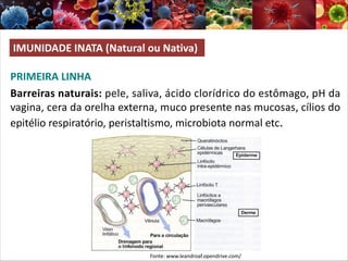 PRIMEIRA LINHA
Barreiras naturais: pele, saliva, ácido clorídrico do estômago, pH da
vagina, cera da orelha externa, muco presente nas mucosas, cílios do
epitélio respiratório, peristaltismo, microbiota normal etc.
Fonte: www.leandroaf.opendrive.com/
IMUNIDADE INATA (Natural ou Nativa)
 
