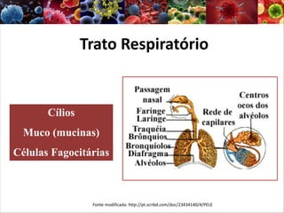 Trato Respiratório
Cílios
Muco (mucinas)
Células Fagocitárias
Fonte modificada: http://pt.scribd.com/doc/23434140/4/PELE
 