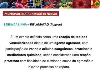 SEGUNDA LINHA – INFLAMAÇÃO (flogose)
IMUNIDADE INATA (Natural ou Nativa)
É um evento definido como uma reação de tecidos
vascularizados diante de um agente agressor, com
participação de vasos e células sanguíneas, proteínas e
mediadores químicos, sendo considerada uma reação
protetora com finalidade de eliminar a causa da agressão e
iniciar o processo de reparo.
 
