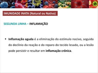 SEGUNDA LINHA – INFLAMAÇÃO
IMUNIDADE INATA (Natural ou Nativa)
§ Inflamação aguda é a eliminação do estímulo nocivo, seguida
do declínio da reação e do reparo do tecido lesado, ou a lesão
pode persistir e resultar em inflamação crônica.
 