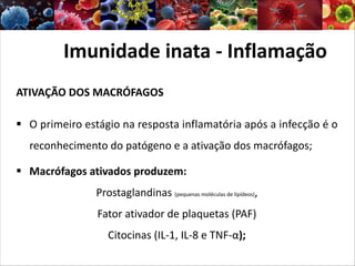 ATIVAÇÃO DOS MACRÓFAGOS
§ O primeiro estágio na resposta inflamatória após a infecção é o
reconhecimento do patógeno e a ativação dos macrófagos;
§ Macrófagos ativados produzem:
Prostaglandinas (pequenas moléculas de lipídeos),
Fator ativador de plaquetas (PAF)
Citocinas (IL-1, IL-8 e TNF-α);
Imunidade inata - Inflamação
 