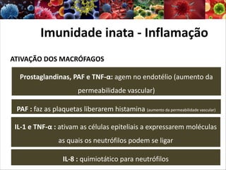 ATIVAÇÃO DOS MACRÓFAGOS
Imunidade inata - Inflamação
PAF : faz as plaquetas liberarem histamina (aumento da permeabilidade vascular)
Prostaglandinas, PAF e TNF-α: agem no endotélio (aumento da
permeabilidade vascular)
IL-1 e TNF-α : ativam as células epiteliais a expressarem moléculas
as quais os neutrófilos podem se ligar
IL-8 : quimiotático para neutrófilos
 