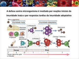 A defesa contra microrganismo é mediada por reações iniciais da
imunidade inata e por respostas tardias da imunidade adaptativa
 