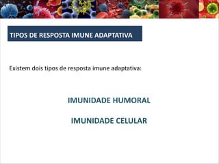 TIPOS DE RESPOSTA IMUNE ADAPTATIVA
Existem dois tipos de resposta imune adaptativa:
IMUNIDADE HUMORAL
IMUNIDADE CELULAR
 