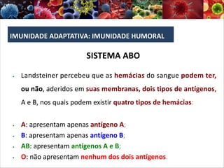 IMUNIDADE ADAPTATIVA: IMUNIDADE HUMORAL
SISTEMA ABO
§ Landsteiner percebeu que as hemácias do sangue podem ter,
ou não, aderidos em suas membranas, dois tipos de antígenos,
A e B, nos quais podem existir quatro tipos de hemácias:
§ A: apresentam apenas antígeno A;
§ B: apresentam apenas antígeno B;
§ AB: apresentam antígenos A e B;
§ O: não apresentam nenhum dos dois antígenos.
 