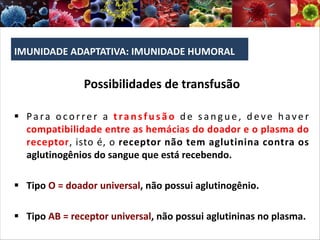 IMUNIDADE ADAPTATIVA: IMUNIDADE HUMORAL
Possibilidades de transfusão
§ Para ocorrer a transfusão de s a ng ue , deve have r
compatibilidade entre as hemácias do doador e o plasma do
receptor, isto é, o receptor não tem aglutinina contra os
aglutinogênios do sangue que está recebendo.
§ Tipo O = doador universal, não possui aglutinogênio.
§ Tipo AB = receptor universal, não possui aglutininas no plasma.
 