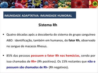 IMUNIDADE ADAPTATIVA: IMUNIDADE HUMORAL
Sistema Rh
§ Quatro décadas após a descoberta do sistema de grupo sanguíneo
ABO: identificação, também em humanos, do fator Rh, observado
no sangue de macacos Rhesus.
§ 85% das pessoas possuem o fator Rh nas hemácias, sendo por
isso chamados de Rh+ (Rh positivos). Os 15% restantes que não o
possuem são chamados de Rh- (Rh negativos).
 