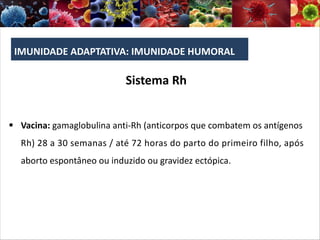 IMUNIDADE ADAPTATIVA: IMUNIDADE HUMORAL
§ Vacina: gamaglobulina anti-Rh (anticorpos que combatem os antígenos
Rh) 28 a 30 semanas / até 72 horas do parto do primeiro filho, após
aborto espontâneo ou induzido ou gravidez ectópica.
Sistema Rh
 
