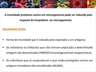 A imunidade protetora contra um microrganismo pode ser induzida pela
resposta do hospedeiro ao microrganismo.
IMUNIDADE ATIVA:
§ Forma de imunidade que é induzida pela exposição a um antígeno;
§ Os indivíduos ou linfócitos que não tiveram exposição a determinado
antígeno são denominados VIRGENS (imunologicamente inexperientes);
§ Os indivíduos que já responderam e que estão protegidos contra um
antígeno microbiano são considerados IMUNES;
 