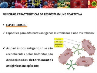 PRINCIPAIS CARACTERÍSTICAS DA RESPOSTA IMUNE ADAPTATIVA
§ ESPECIFICIDADE
ü As partes dos antígenos que são
reconhecidas pelos linfócitos são
denominadas determinantes
antigênicos ou epítopos;
ü Específica para diferentes antígenos microbianos e não microbiano;
 