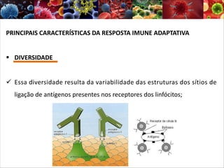 PRINCIPAIS CARACTERÍSTICAS DA RESPOSTA IMUNE ADAPTATIVA
§ DIVERSIDADE
ü Essa diversidade resulta da variabilidade das estruturas dos sítios de
ligação de antígenos presentes nos receptores dos linfócitos;
 