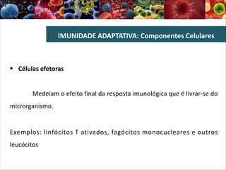 § Células efetoras
Medeiam o efeito final da resposta imunológica que é livrar-se do
microrganismo.
Exemplos: linfócitos T ativados, fagócitos monocucleares e outros
leucócitos
IMUNIDADE ADAPTATIVA: Componentes Celulares
 