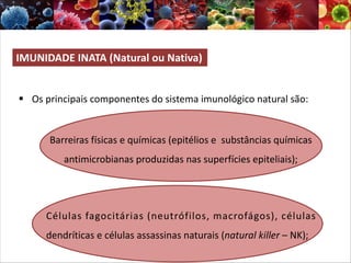 IMUNIDADE INATA (Natural ou Nativa)
§ Os principais componentes do sistema imunológico natural são:
Barreiras físicas e químicas (epitélios e substâncias químicas
antimicrobianas produzidas nas superfícies epiteliais);
Células fagocitárias (neutrófilos, macrofágos), células
dendríticas e células assassinas naturais (natural killer – NK);
 