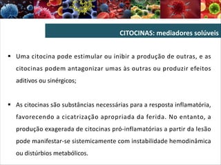 CITOCINAS: mediadores solúveis
§ Uma citocina pode estimular ou inibir a produção de outras, e as
citocinas podem antagonizar umas às outras ou produzir efeitos
aditivos ou sinérgicos;
§ As citocinas são substâncias necessárias para a resposta inflamatória,
favorecendo a cicatrização apropriada da ferida. No entanto, a
produção exagerada de citocinas pró-inflamatórias a partir da lesão
pode manifestar-se sistemicamente com instabilidade hemodinâmica
ou distúrbios metabólicos.
 