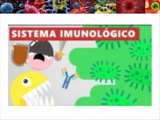 ARQ_14664_E444_2022112520259.pdf