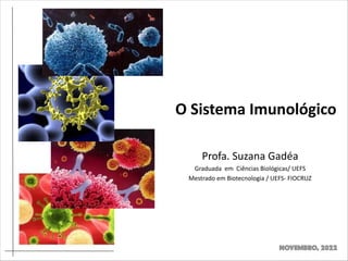 O Sistema Imunológico
Novembro, 2022
Profa. Suzana Gadéa
Graduada em Ciências Biológicas/ UEFS
Mestrado em Biotecnologia / UEFS- FIOCRUZ
 